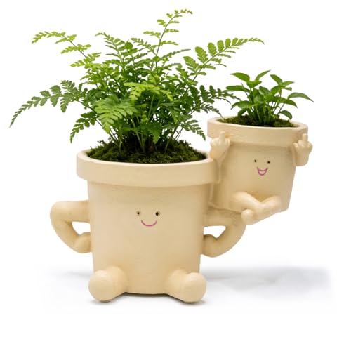 Cute Smiley Face Planter, 2-in-1 Funny Succulent Planter Pot with Drainage, Resin Small Flower Pots Indoor Home Decor, Office Desk Planter Pots for Plants, Novelty Gardening Gift (Khaki) - color: Khaki