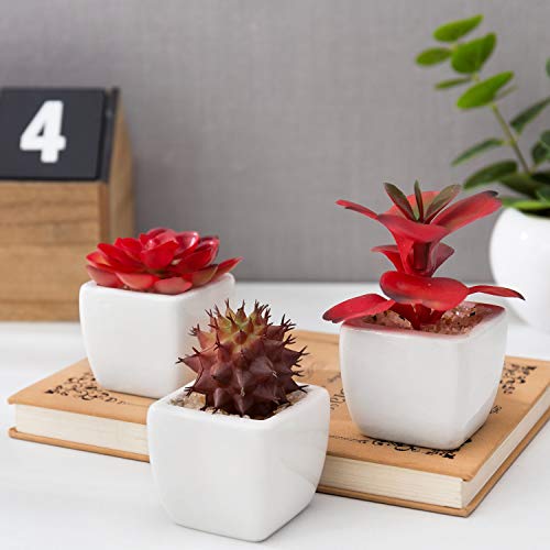 MyGift Assorted Artificial Red Succulent Plants, Mini Fake Desert Plants in White Square Pots, Set of 3 - color: Red (Set of 3)