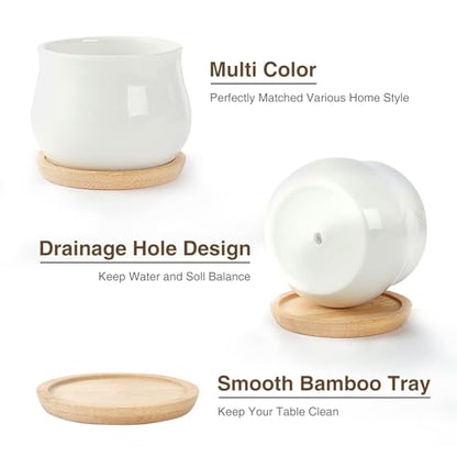 SHECIPIN 2 Pack Succulent Pots, 2.5 Inch Mini Ceramic Pots for Flower or Cactus Plants with Drainage Hole,Plants Not Included (White) - color: 2 Pack White Mini Pots