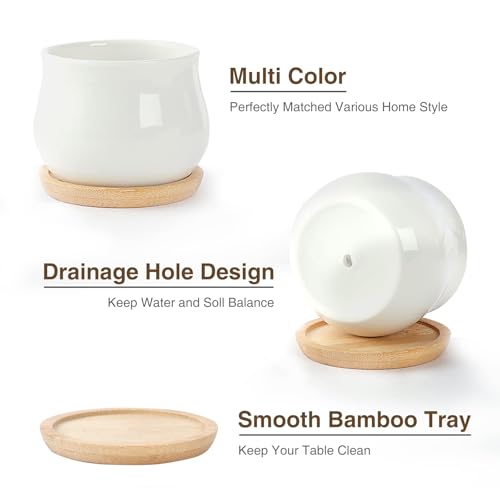 SHECIPIN 2 Pack Succulent Pots, 2.5 Inch Mini Ceramic Pots for Flower or Cactus Plants with Drainage Hole,Plants Not Included (White) - color: 2 Pack White Mini Pots