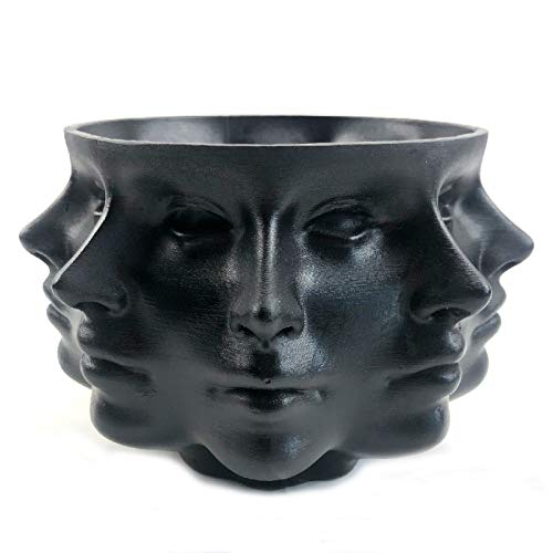 Resin Multi-Face Head Planter, Indoor Succulent Decor | Multi-face design, sturdy & durable. Succulent & cactus container, creative home accent, unique gift choice.