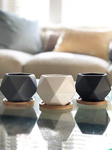 Modern Geometric Ceramic Succulent Pots 3" Planters with Drainage | Bamboo Tray | 3 Pack - color: White Black Grey Geometric 3"
