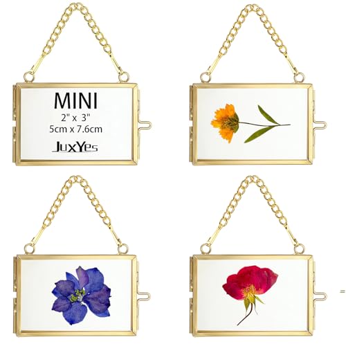 JUXYES 2x3 Hanging Mini Double Glass Picture Pressed Flower Frame Ornament | 4 Pack Small Gold Brass Floating Display Frame with Chain, Wallet Size Tiny Frame Ornament for Xmas Tree Party Wall Decor - color: Horizontal, size: 4 Pack