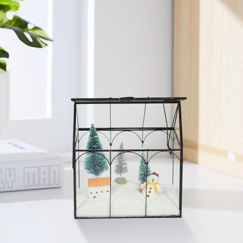 FerrisIsland Glass Plant Wardrobe Indoor Small Succulent Aquarium | FerrisIsland glass plant small succulent aquarium with desktop decoration DIY door (6 in long x 4.3 in wide x 6.3 in high) - size: 6" L x 4.3" W x 6.3" H