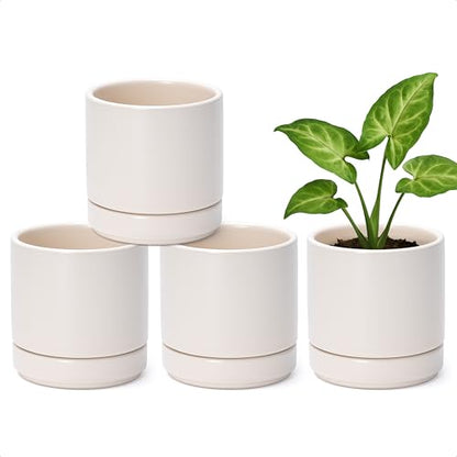 D'vine Dev 4-Pack Ceramic Pots with Saucers, Oatmeal, 4.7 in, 94-X-B-8 | Glazed Ceramic, Drainage Hole and Saucer, Sleek Cylinder Shape, High Temperature Fired, Ideal for Small Houseplants - color: Oatmeal, size: 4.7 Inch