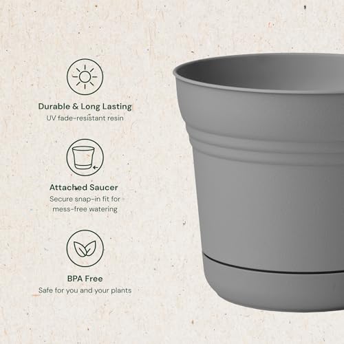 Bloem Saturn Planter w/Saucer 5" Charcoal Gray (SP05908) - color: Charcoal Gray, size: 5"