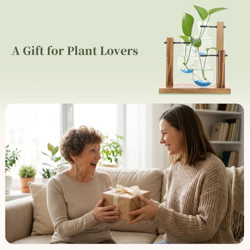 Plant Propagation Station，Hydroponic Glass Bulb Vase with Wooden Stand Decorative Propagation Stations with Blue Glass Beads for Home Desk Office Gardening Gifts for Mom Women Plant Lovers
