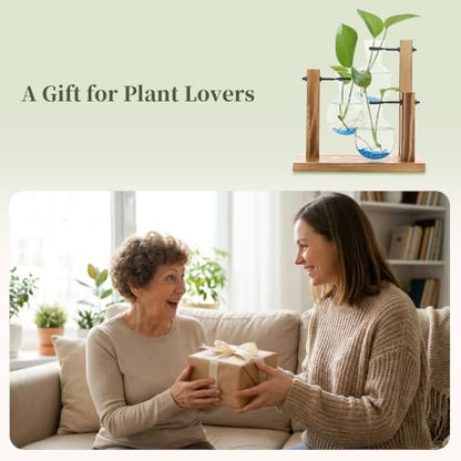 Plant Propagation Station，Hydroponic Glass Bulb Vase with Wooden Stand Decorative Propagation Stations with Blue Glass Beads for Home Desk Office Gardening Gifts for Mom Women Plant Lovers