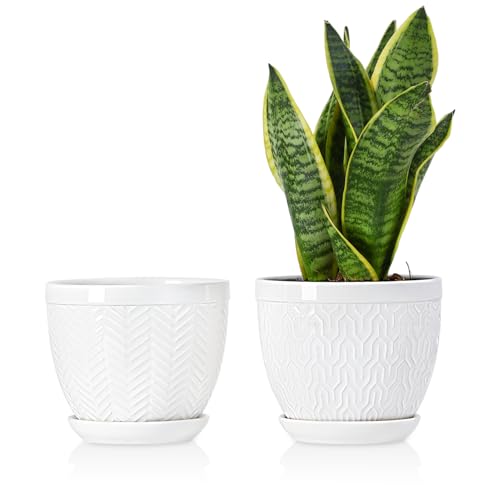 Sureasy HOME & KITCHEN 6.5 Inch Ceramic Plant Pots Set of 2, White Embossed | Indoor Flower Pot for Orchid, Aloe, with Drainage & Saucer, Decorative, Modern, Durable, Gift Set - color: White, size: 6.5 inch