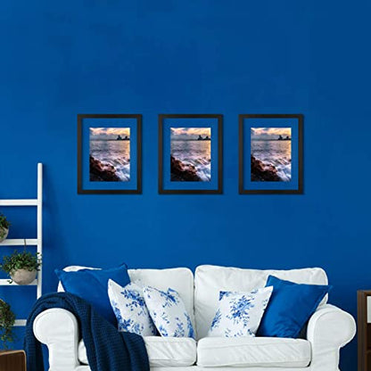 ONE WALL 16x20 Floating Frame, Black Wood Double Glass Float Picture Frame | Display 16x20/11x14 Inch Photos or Plant or Petal Specimens for Wall Hanging, Mounting Accessories Included - size: 16X20