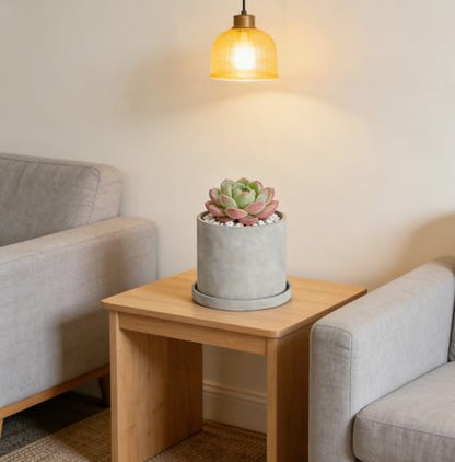 Ekirlin 5.6 Inch Indoor Plant Pot, Natural Cement Grey Garden Planters, Outdoor Concrete Flower Plant Pots with Drain Hole Saucer Tray, Modern Succulents Containers for Home Decor & Garden Plants - size: 5.6 inch