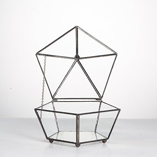 NCYP Small Glass Geometric Terrarium, Closed Jewel-Boxed Shape Container, Plant Succulent Planter Pot, Indoor Garden Decor, 5.3" x 5.3" x 4.5" (Terrarium Only)