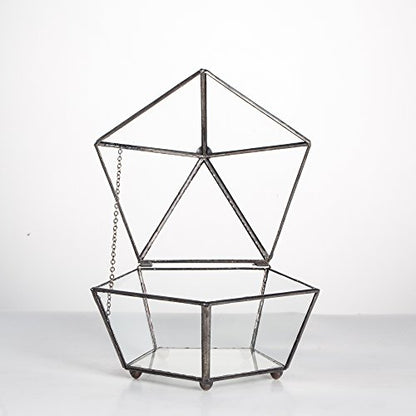 NCYP Small Glass Geometric Terrarium, Closed Jewel-Boxed Shape Container, Plant Succulent Planter Pot, Indoor Garden Decor, 5.3" x 5.3" x 4.5" (Terrarium Only)