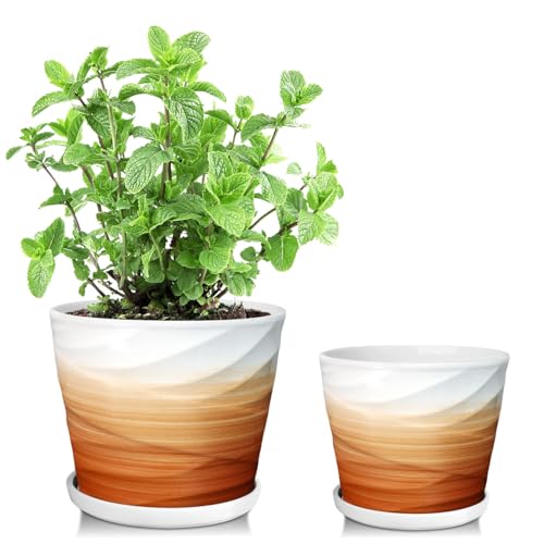 6.7 + 5.5 Inch Plant Pot,Ceramic Planter with Drainage and Saucer,Ceramic Pots for Plants,Indoor Plant pots,Planters for Indoor Plants(Khaki + White) - color: Khaki + White, size: 6.7 + 5.5 Inch-2 Pack