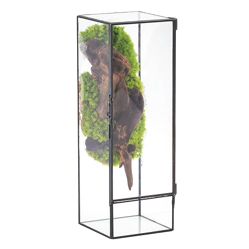 NCYP Closed Glass Terrarium with Door - 3.9x3.9x11.8 Inches Rectangular Tall Planter Box for Fern, Succulent Plants, Home Garden Tabletop Decor, Handmade (Terrarium Only) - size: 3.9x3.9x11.8 inches