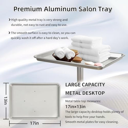 Salon Tray, Salon Color Tray with Adjustable Height, Salon Tray on Wheels, Salon Rolling Tray, Ideal Use As Tattoo Tray＆Dental Tray - color: Silver