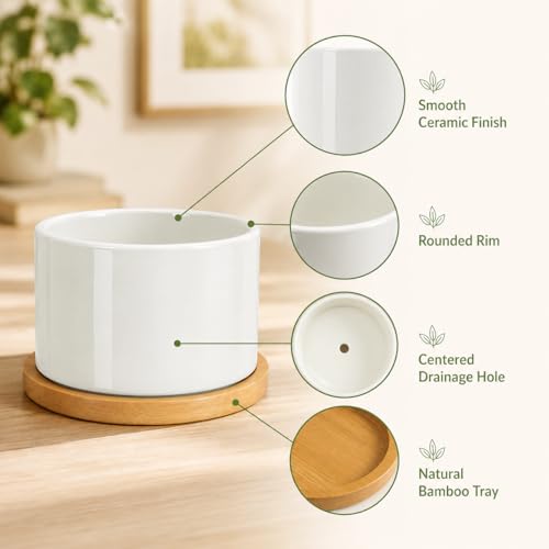ZOUTOG 12 Pack Ceramic Succulent Pots,3.6 Inch Plant Pots,Succulent Planters with Drainage Hole & Bamboo Tray for Indoor Plants,White Small Flower Planters for Home,Office,Desk - size: 12 pack