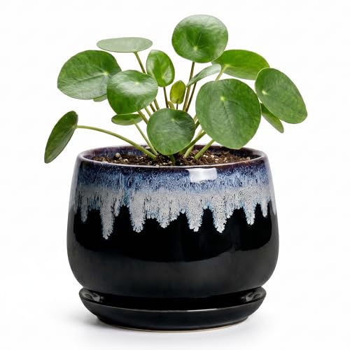 Ceramic Planter 4 Inch - Small Pots for Plants with Drainage and Saucer, Round Flower Pot for Indoor Plants, Ceramic Succulent Pots, Room Home Decor, Plant Lover Gifts for Women, Black-Blue - size: 4 Inch, style: Black-blue