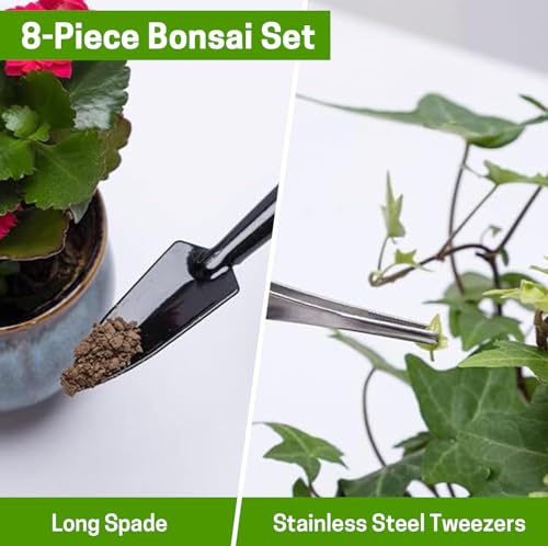 Bonsai Set 8 Pcs, Bonsai Tools Kit, Garden Tools Set | Include Pruner, Fold Scissors, Mini Rake, Bud & Leaf Trimmer Set