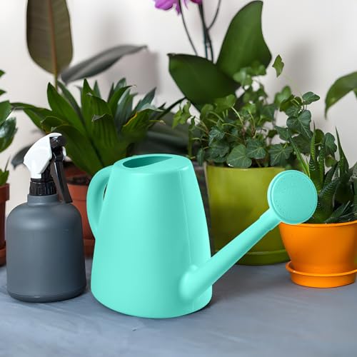 ZXJ Plant Watering Cans for Indoor and Outdoor Home Garden Plants - with Long Spout - SkyBlue - 1/2 Gallon - color: Skyblue