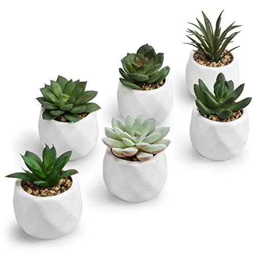 MyGift Mini Assorted Faux Succulent Plants Ceramic Geometric Pots Set of 6 | Lifelike Greenery, Maintenance Free Décor, Modern Geometric Style, Small Space Accent, Easy Display, Home Styling - color: White (Set of 6)