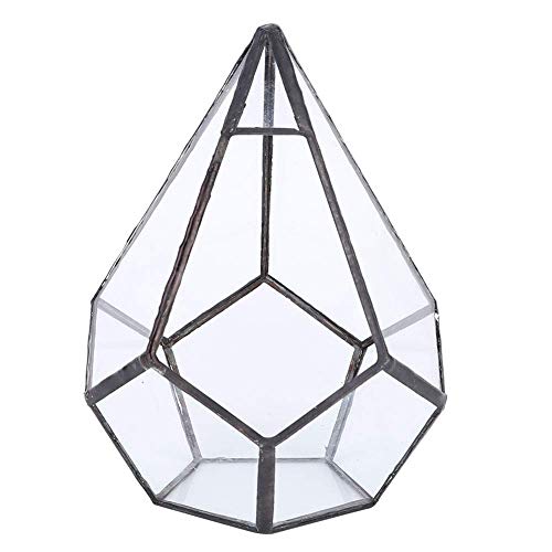 TOPINCN Glass Terrarium Stylish Geometric Shape Planter Succulent Holder Plants Container Flower Pot Tabletop Landscape Decor