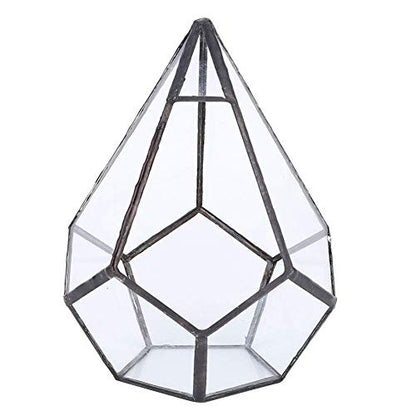 TOPINCN Glass Terrarium Stylish Geometric Shape Planter Succulent Holder Plants Container Flower Pot Tabletop Landscape Decor