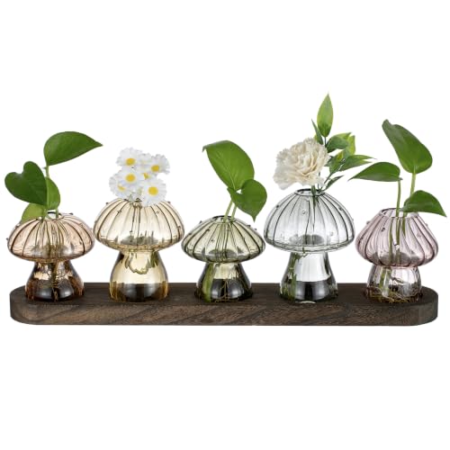 Glasseam 5 Pcs Mushroom Propagation Station: Glass Terrarium Jar for Plants | With Wood Stand, Fall Colored, Handmade Hydroponic Vase, Indoor Home Office Tabletop Windowill Decor, Cute Plant Lover Gifts - color: Fall-colored, size: 5Pcs