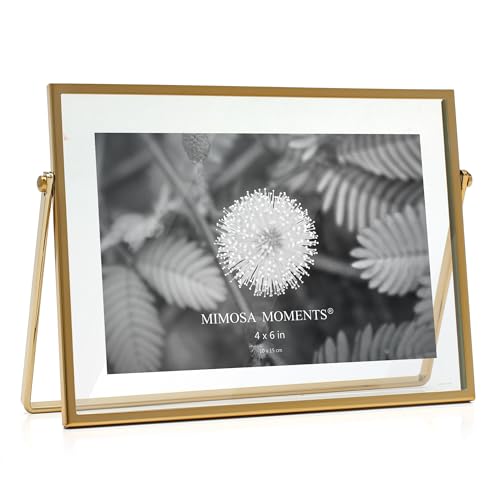 4x6 Brass Metal Floating Horizontal Picture Frame | Horizontal Double Glass Tabletop Display, Modern Minimalist Photo Frame for Home & Office Decor - color: Brass, size: 6x4