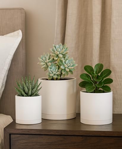 D'vine Dev 3-Pack Plastic Pots & Saucers, 4/5/6 in, Oatmeal, 74-V-H-1 | Multi-Size Options, Lightweight Durable, Matte Finish, Cylinder Shape, Drainage Holes, Sleek Design, Detachable Saucer - color: Oatmeal, size: Small