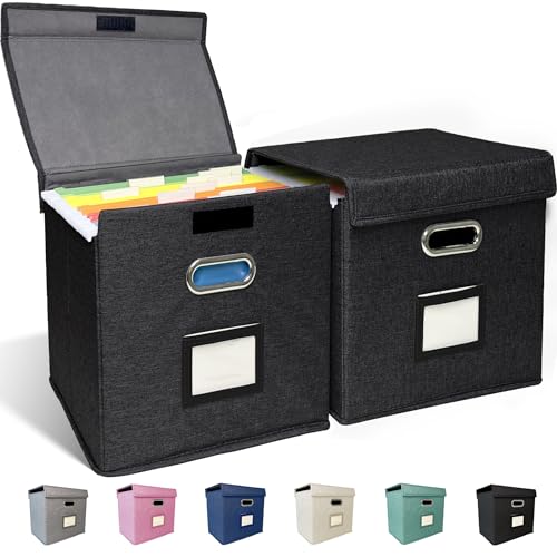 2 Pack Hanging File Folder Box with Lid, Durable Letter Size Filing Storage Box, Sturdy File Holder with Cardboard Support PVC Rails for Office Home Organizer, Black - color: Black