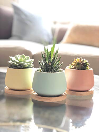 Assorted Blue Pink Yellow Round Ceramic Succulent Pots 3" Planters with Drainage | Bamboo Tray | 3 Pack - color: Pink Blue Yellow Round 3"