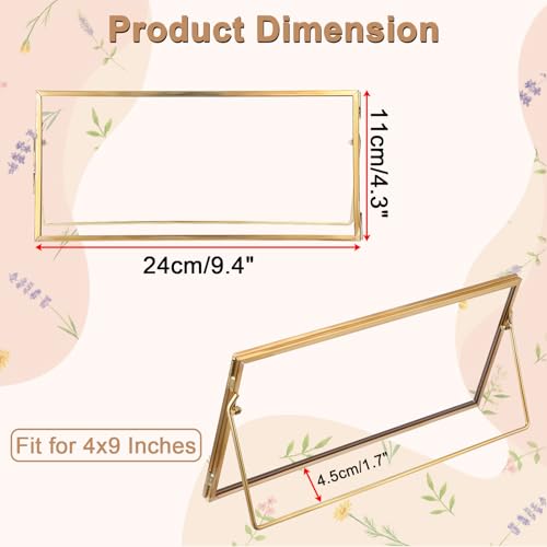 Double-Glass Dried Flower Frame, Brass Floating Frames for Pictures, Pressed Flowers, Leaves, Arts, Stamps, 4x 9 inches Decorative Tabletop Display Holder for Home Plant Specimen (FRAME ONLY)