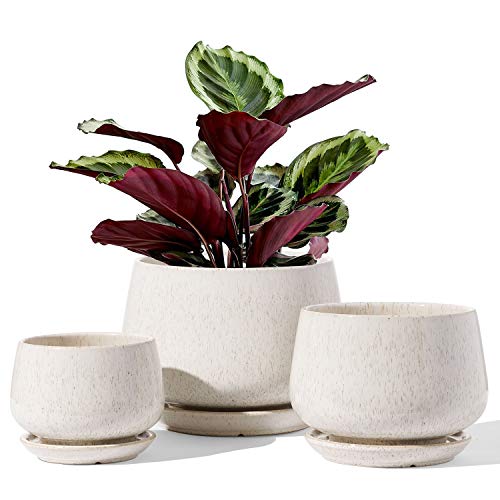 LE TAUCI Plant Pots, 4.1+5.1+6.5 inch, Set of 3, Ceramic Planters with Drainage Hole and Saucer, Indoor Flower Pot with Hole Mesh Pad, Gifts for Mom, Reactive Glaze Beige - color: Reactive Glaze Beige