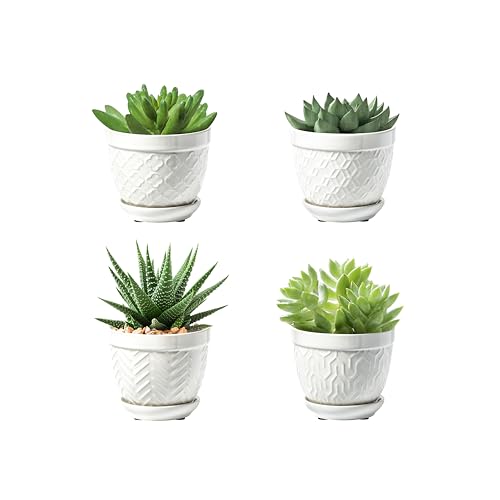 Sureasy Succulent Pots, 3.5 Inch Flower Pots for Indoor Plants, Small Plant Pots with Saucer & Drainage, Decorative Ceramic Planters for Succulent, Cactus, Set of 4, White - color: White, size: 3.5 inch