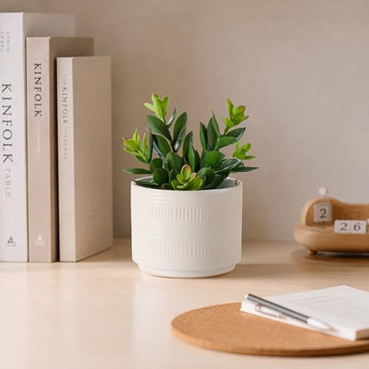 Kurrajong Farmhouse Artificial Plant in White Ceramic Pot | 7.5" Fake Plant for Desk Decor | Artificial Succulent in Pot | Fake Succulent | Faux Plant for Shelf Decor