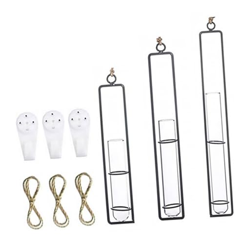 CALLARON 3 Kits Hanging Hydroponic Test Tube Vase Set with Iron Frame, Glass Plant Propagation Containers, Wall-mounted Flower Holders for Indoor and Garden Decoration