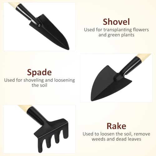 DOITOOL 6pcs Mini Gardening Tools Set with Wood Handle – Mini Trowel, Rake Shovel for Planting, Transplanting, Weeding – Compact Hand Tools for Bonsai and Indoor Outdoor Garden Use