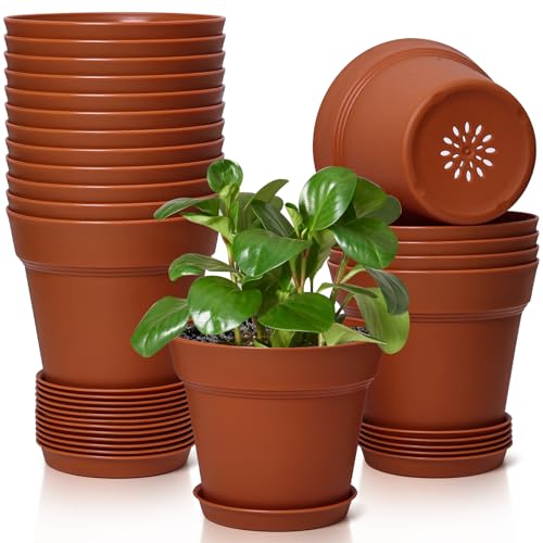 T4U Flower Pots for Indoor Plants 5 Inch with Saucer, Plastic Plant Pot | Modern decorative planter, succulent and cactus pot, orchid and herb container, lightweight material, home office decor - color: Terracotta, size: 5 In