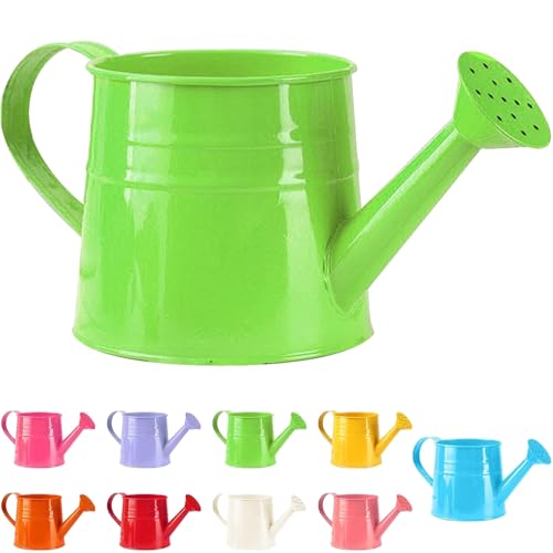 Tinplate Watering Kettle 1L, Mini Metal Watering Can with Long Spout and Handle, Vintage Flower Sprinkling Can for Indoor Plants, Patio and Garden Use (Green-B05) - color: Green-b05