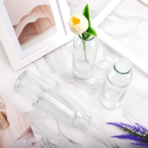 12 Pcs Glass Bud Vases Bulk, Small Glass Vases, Clear | Mini Flower Vases, Clear Vases for Flowers, Decorative Glass Bottles for Wedding Reception, Dining Table, Home Decor