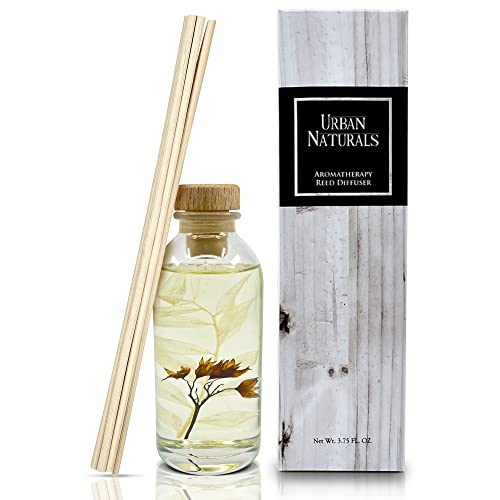 Reed Diffuser Set, Cedarwood & Vanilla - Bathroom Décor | Made with Essential Oils & Real Botanicals, Cedar, Oak and Moss, Made in the USA - color: Cedarwood & Vanilla