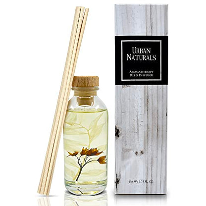 Reed Diffuser Set, Cedarwood & Vanilla - Bathroom Décor | Made with Essential Oils & Real Botanicals, Cedar, Oak and Moss, Made in the USA - color: Cedarwood & Vanilla
