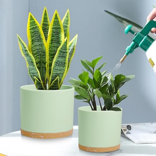 Large Plant Pots Set of 3 – 8", 9", 10" Indoor Flower Pots with Drainage Holes and Saucers, Big Planters for Monstera, Fiddle Leaf Fig, Snake Plant – 5 Colors - color: Green With Brown Base