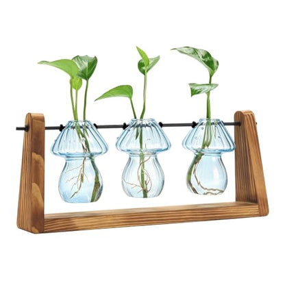 Hyindoor Propagation Stations with Wooden Stand & 3 Glass Mushroom Vases, Plant Terrarium Mushroom Planter for Hydroponics Home Garden Ofiice Tabletop Decor, Propagation vases Gifts for Women Mom