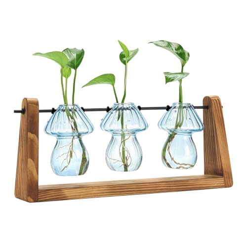 Hyindoor Propagation Stations with Wooden Stand & 3 Glass Mushroom Vases, Plant Terrarium Mushroom Planter for Hydroponics Home Garden Ofiice Tabletop Decor, Propagation vases Gifts for Women Mom