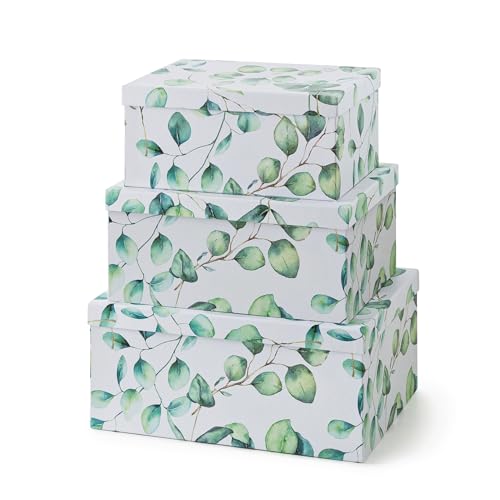 Soul & Lane - Eucalyptus Decorative Storage Boxes with Lids, Set of 3 | Large Nesting Cardboard Keepsake Boxes for Memories, Photos and Gifts, Pretty Leaves Print Containers for Home Decor - color: Eucalyptus Leaves