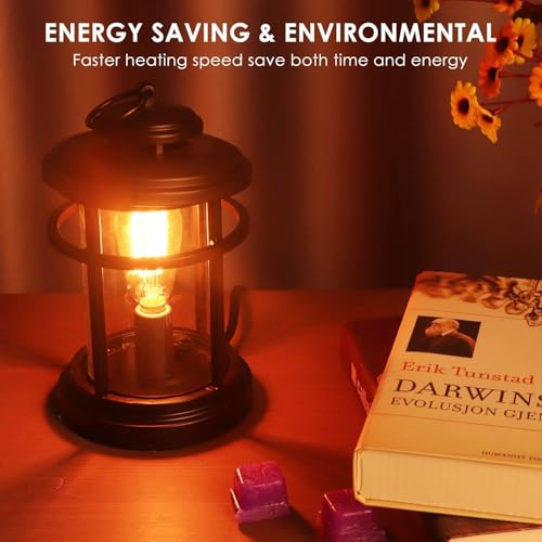 SALKING Electric Wax Warmer - Metal Wax Melt Warmer for Scented Wax,Candle Wax Burner Fragrance Warmer and 2 Edison Bulbs, Wax Melt Melter for Home Decor Office,Birthday Gifts for Women