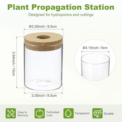 M METERXITY 1 Pack Glass Planter Terrarium with Wooden Cover, Desktop Plant Propagation Station Clear Vase for Hydroponic Plants Propagation/Home Garden Decor/Plant Lover [3.35'' x 3.94''] - size: 3.35'' x 3.94''