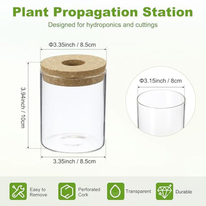 M METERXITY 1 Pack Glass Planter Terrarium with Wooden Cover, Desktop Plant Propagation Station Clear Vase for Hydroponic Plants Propagation/Home Garden Decor/Plant Lover [3.35'' x 3.94''] - size: 3.35'' x 3.94''